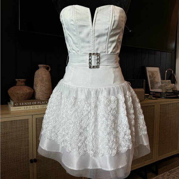 Vintage Jessica McClintock for Gunne Sax tulled roses mini dress - Picture 10 of 14